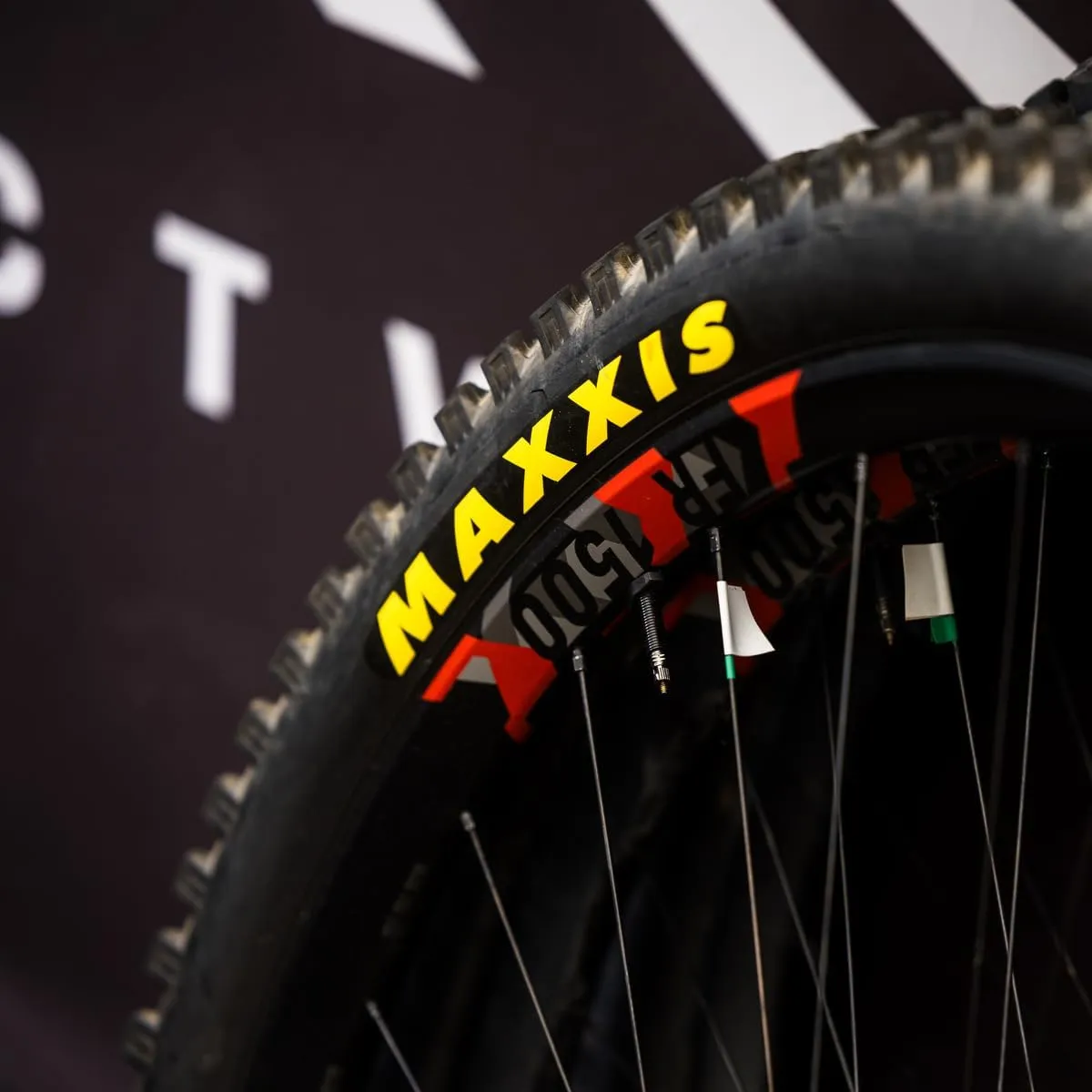 Maxxis Pace - 29x2.10 - Mountain Bike Tire, Dual Compound with EXO Puncture Protection, Tubeless Ready, E25, 53-622